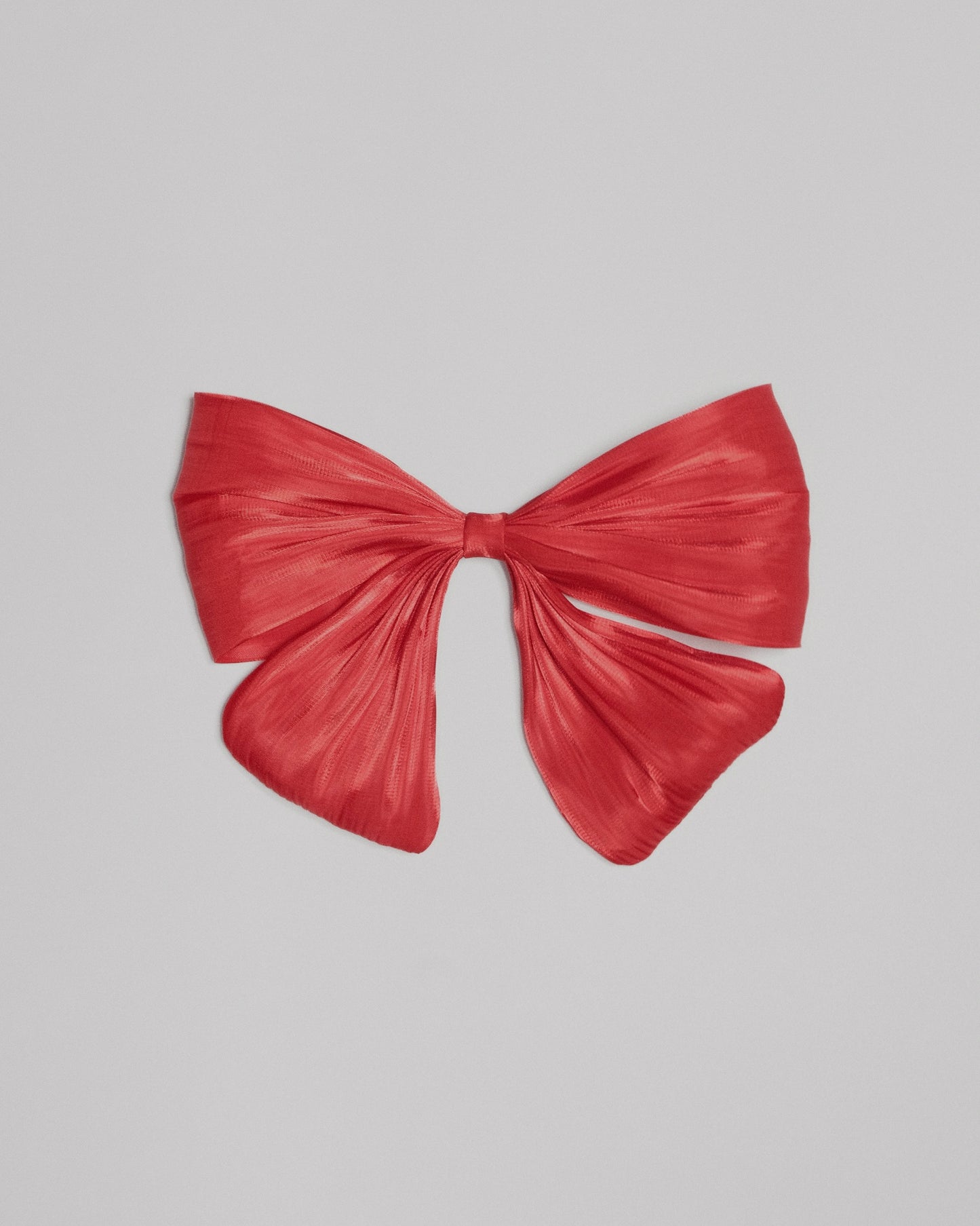The Red Bow Wow