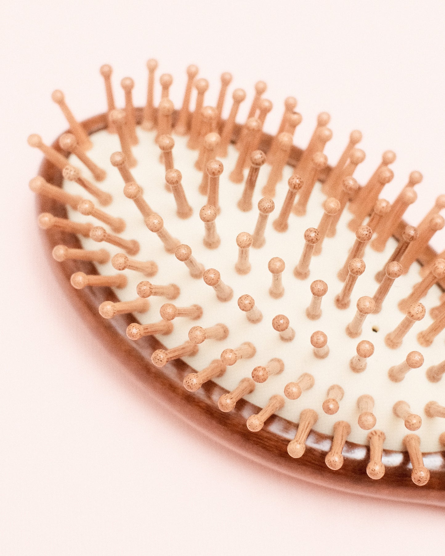 The Wooden Brush