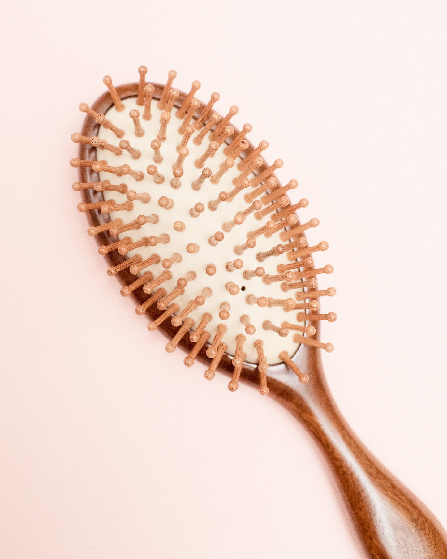 The Wooden Brush