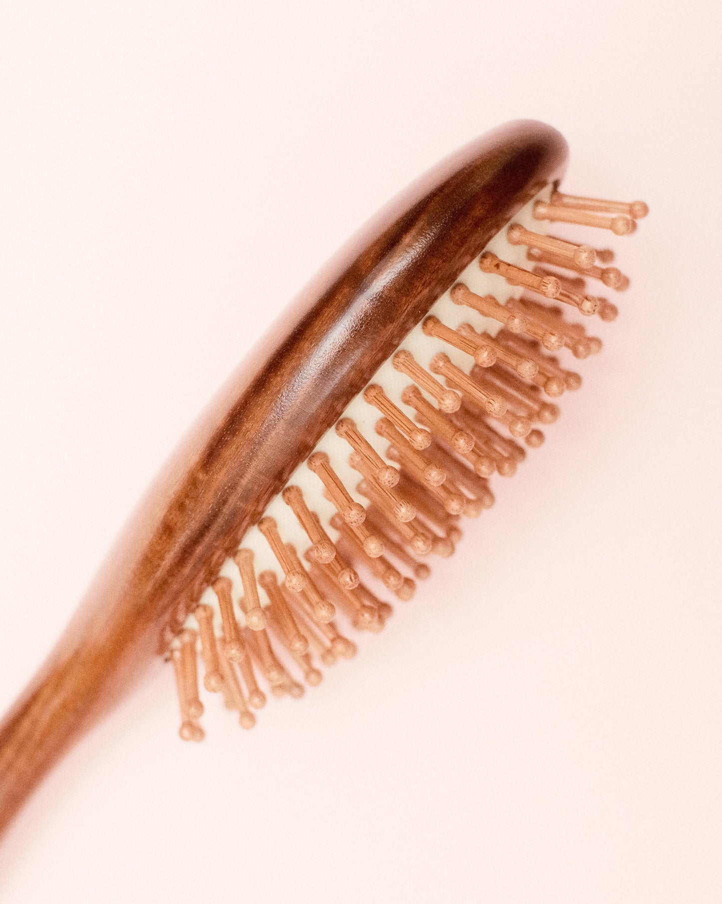 The Wooden Brush