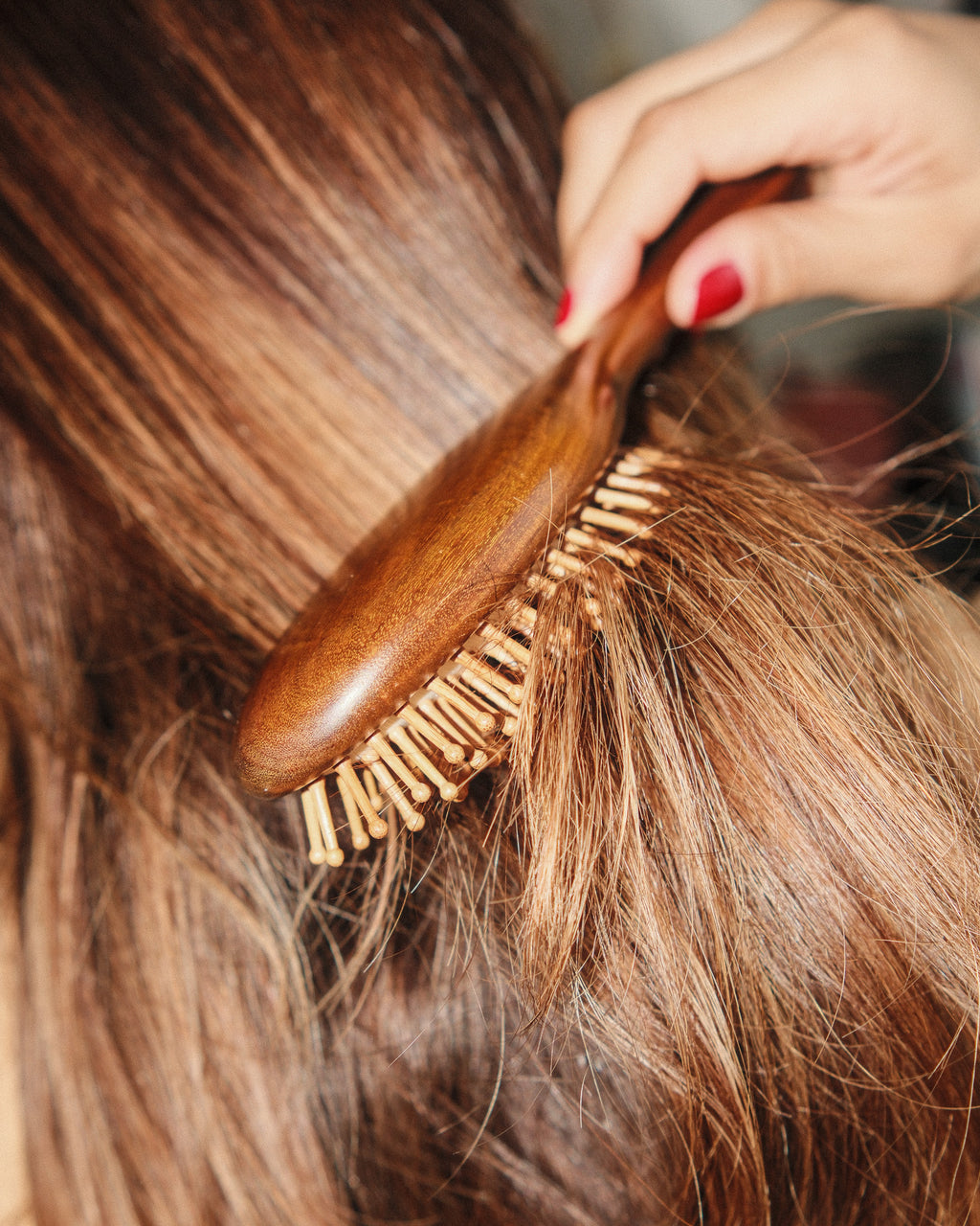 The Wooden Brush