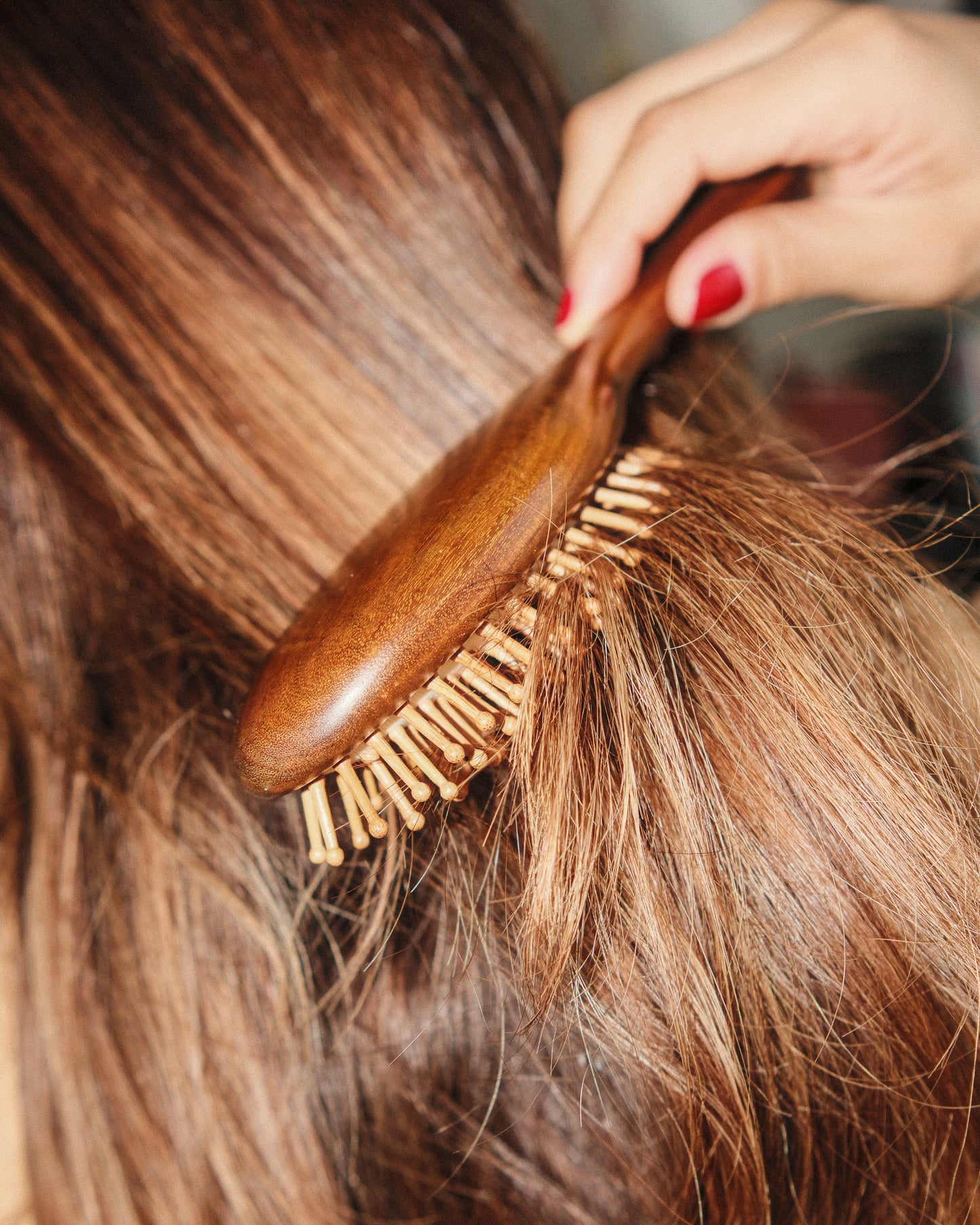 The Wooden Brush
