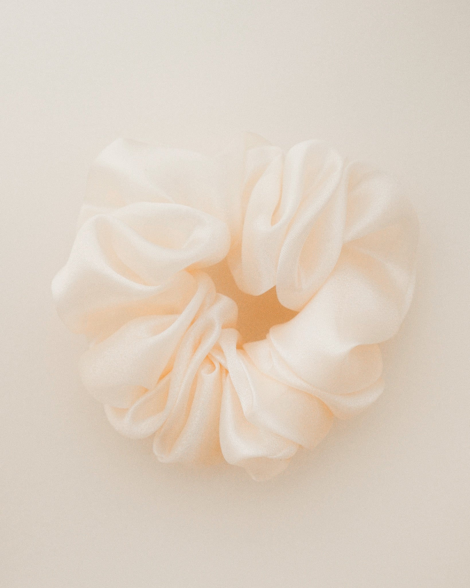 The Delicate Scrunchie.