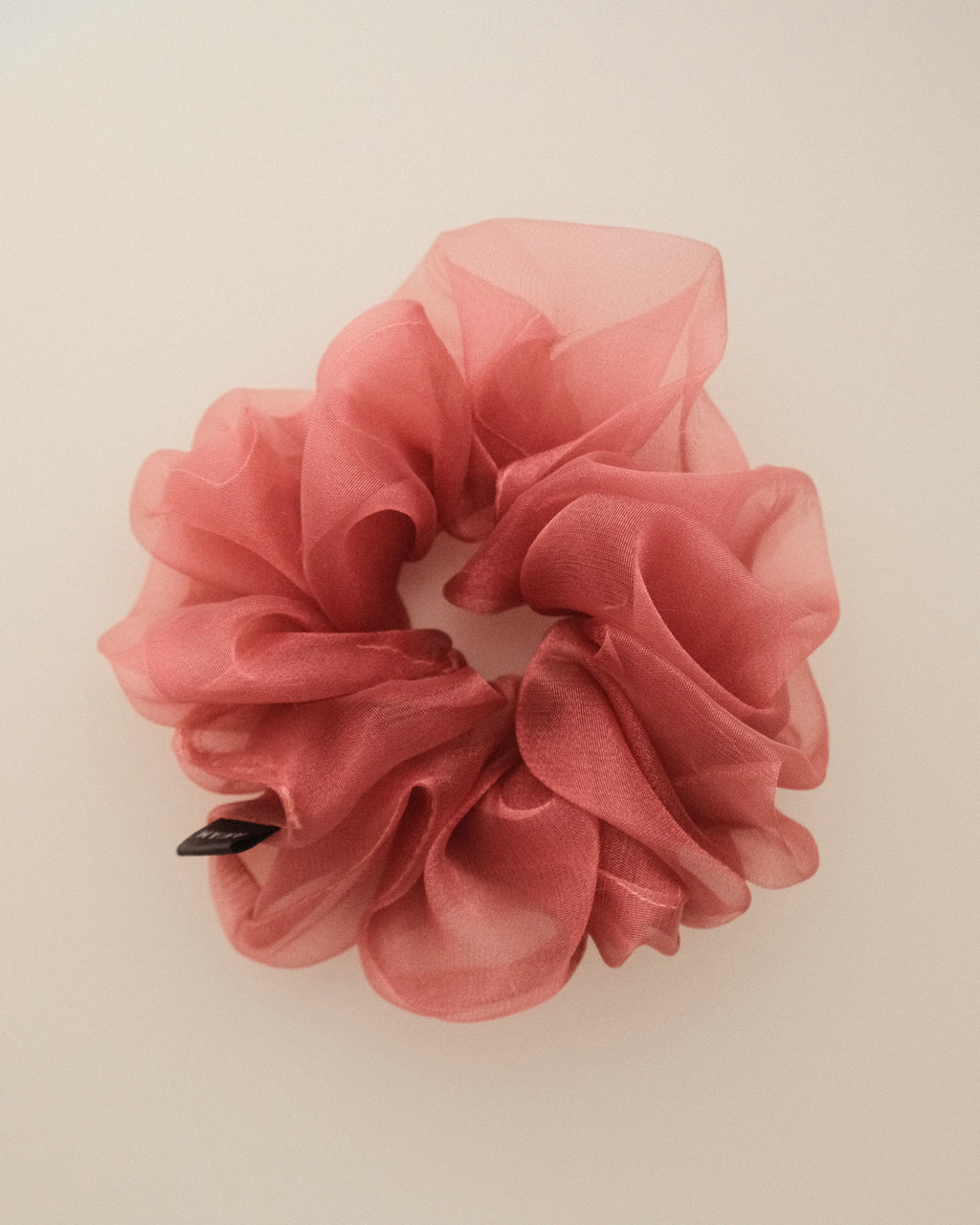 The Delicate Scrunchie.