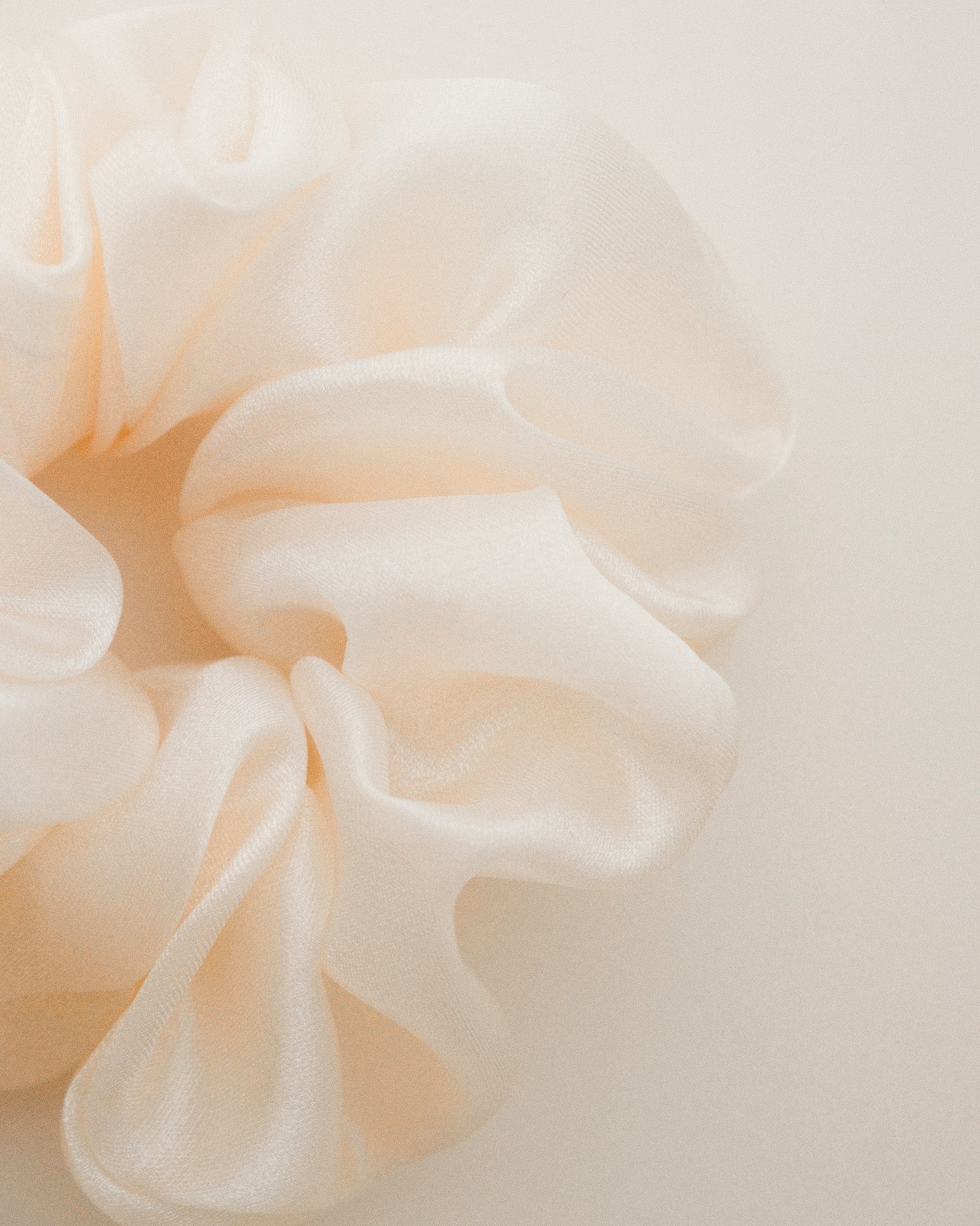 The Delicate Scrunchie.