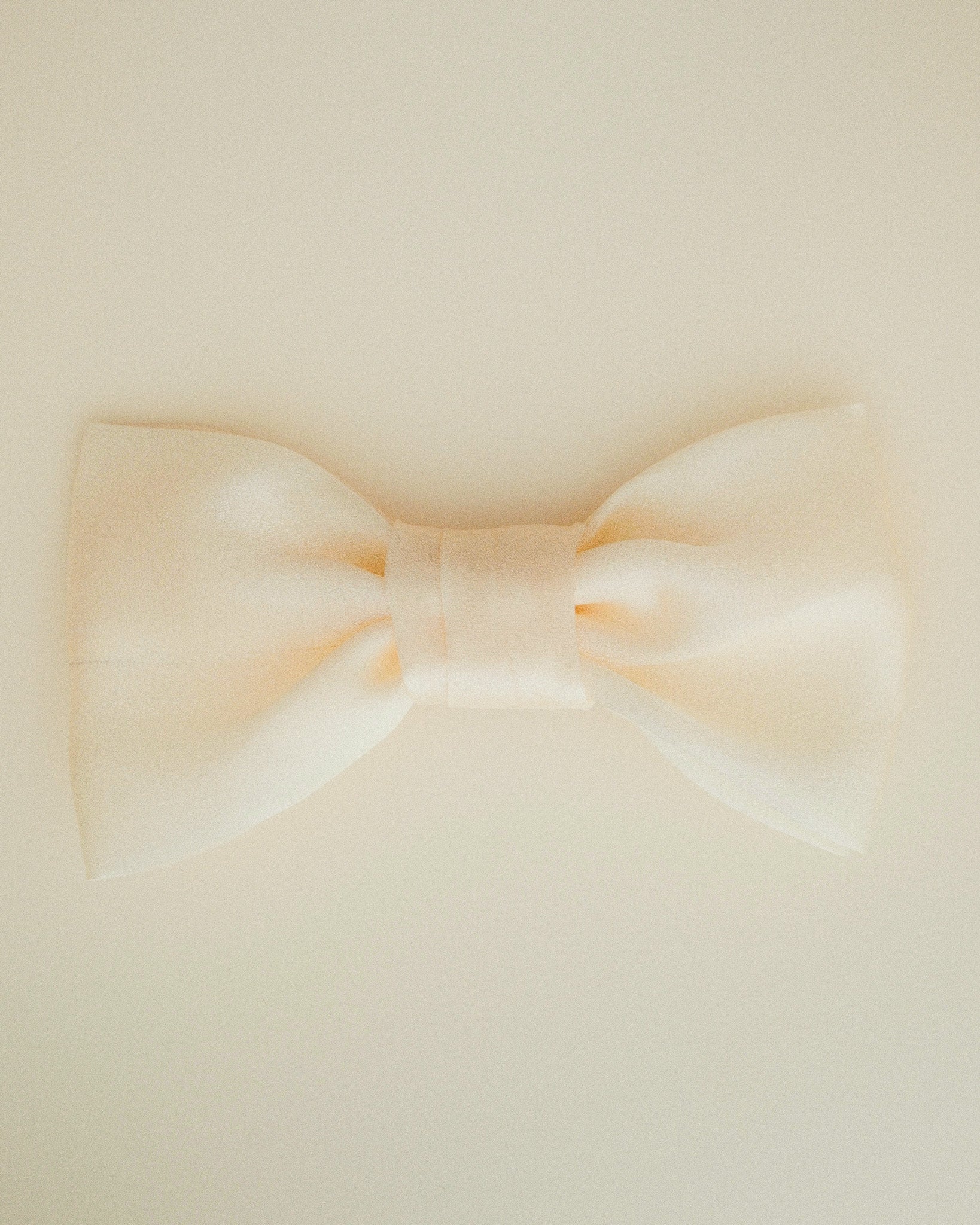 The Organza Bow