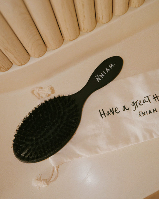 The Ultimate Hairbrush