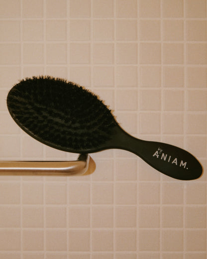 The Ultimate Hairbrush